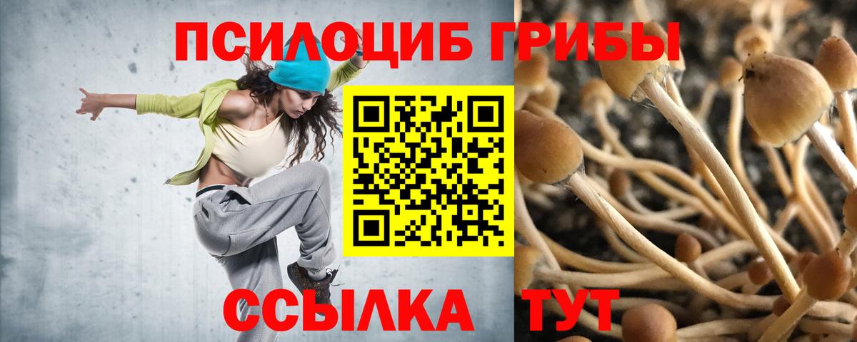 Тольятти  Псилоцибиновые грибы ЛСД  Вход с VPN  Галлюциногенные грибы MAGIC MUSHROOMS 